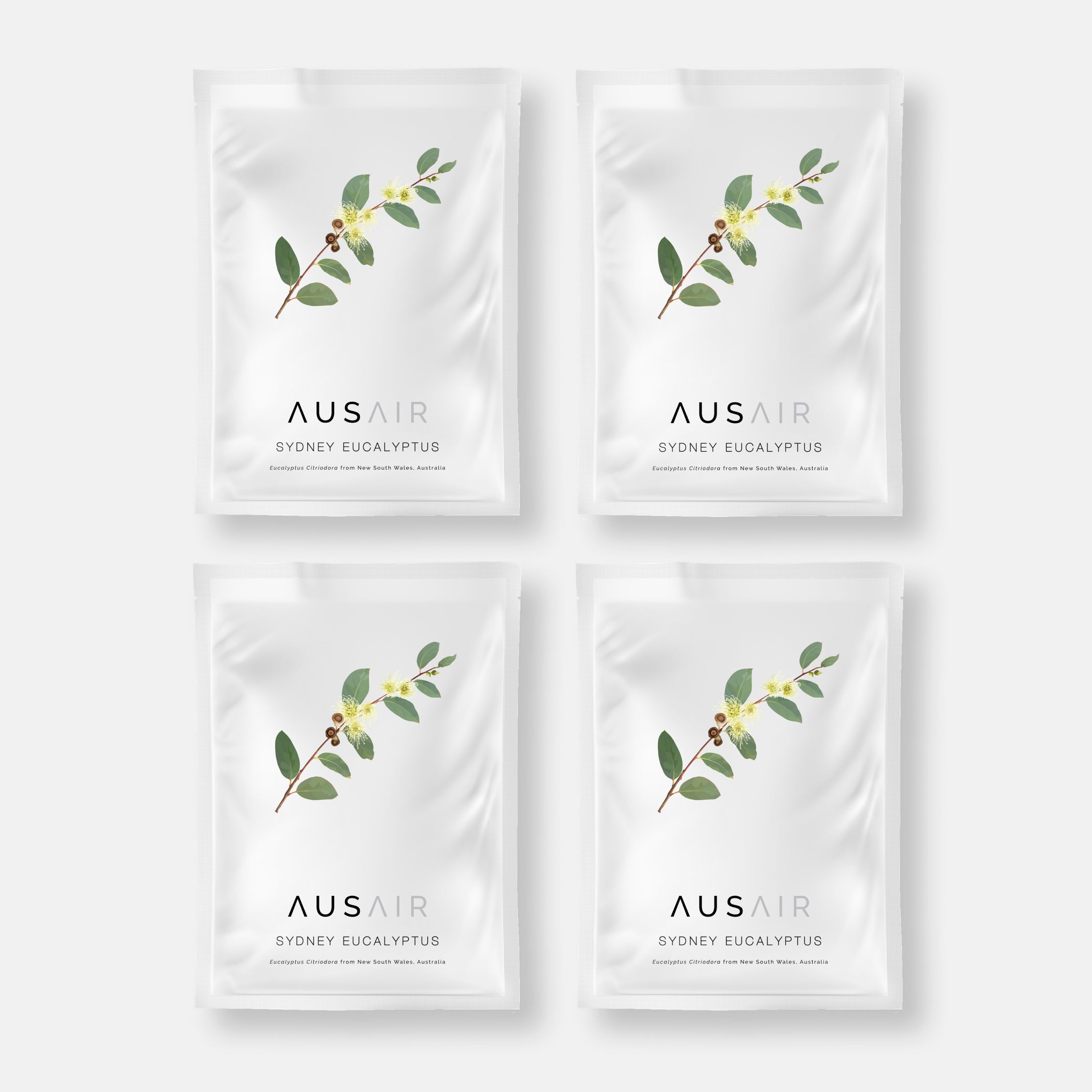 #filter_sydney eucalyptus