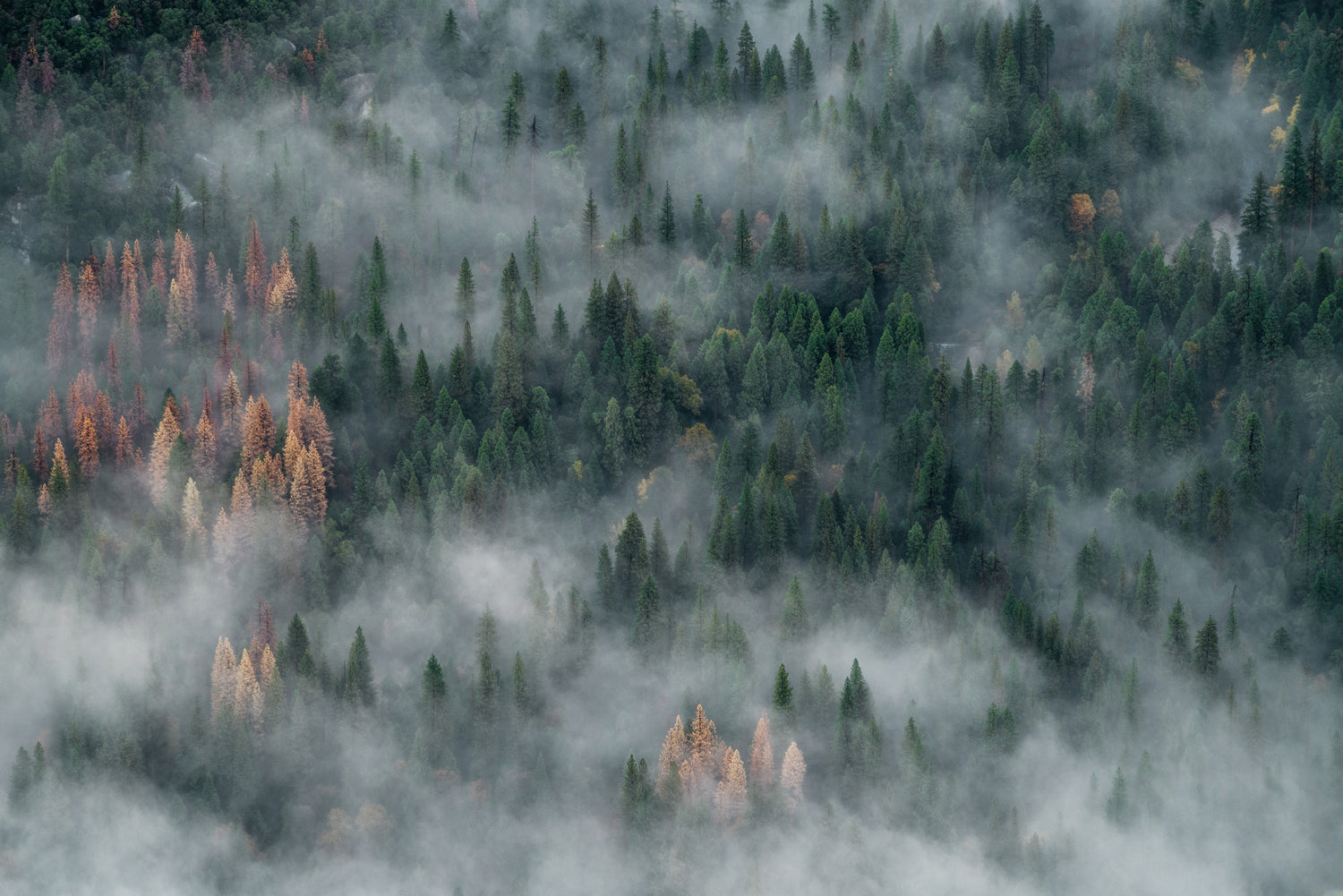How Does Wildfire Smoke Affect Our Health?
